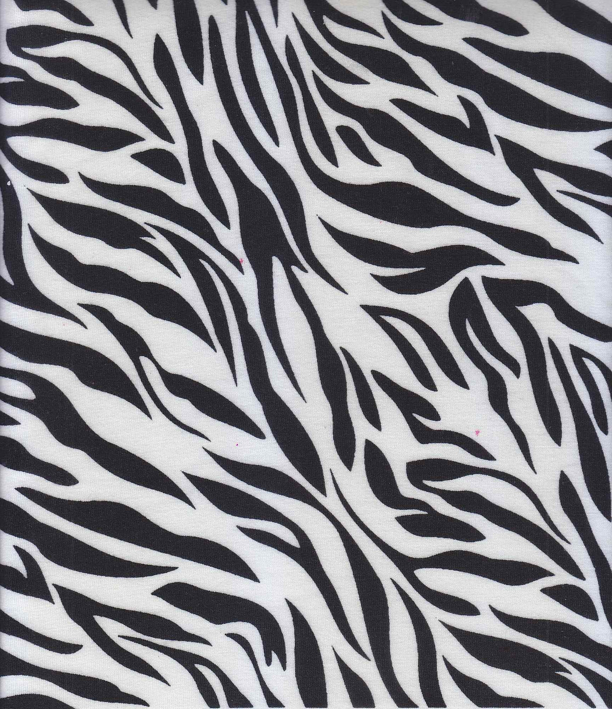 1 Yard French Terry Knit Fabric Zebra Print Stretch Soft 58/60" Width