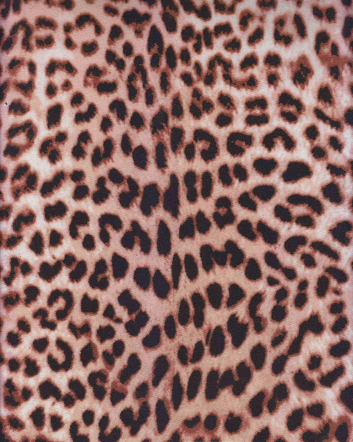 1 Yard French Terry Knit Fabric Animal Print Soft Stretch 58/60" Width