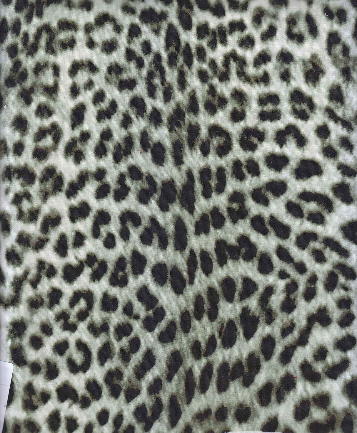 1 Yard French Terry Knit Fabric Animal Print Soft Stretch 58/60" Width