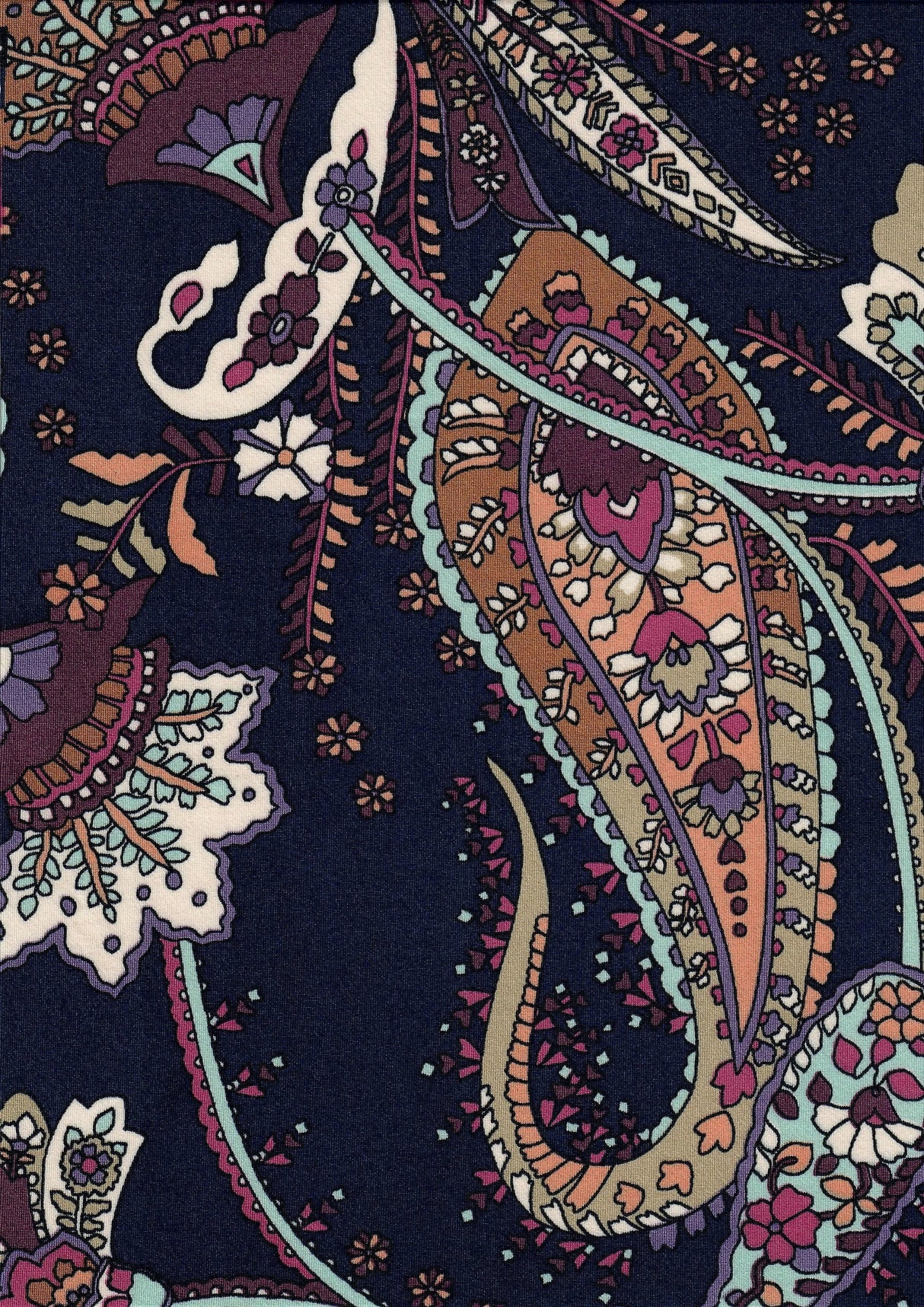 DTY Paisley Print Fabric Soft Lightweight & Stylish Stretch Knit, 58/60" Wide