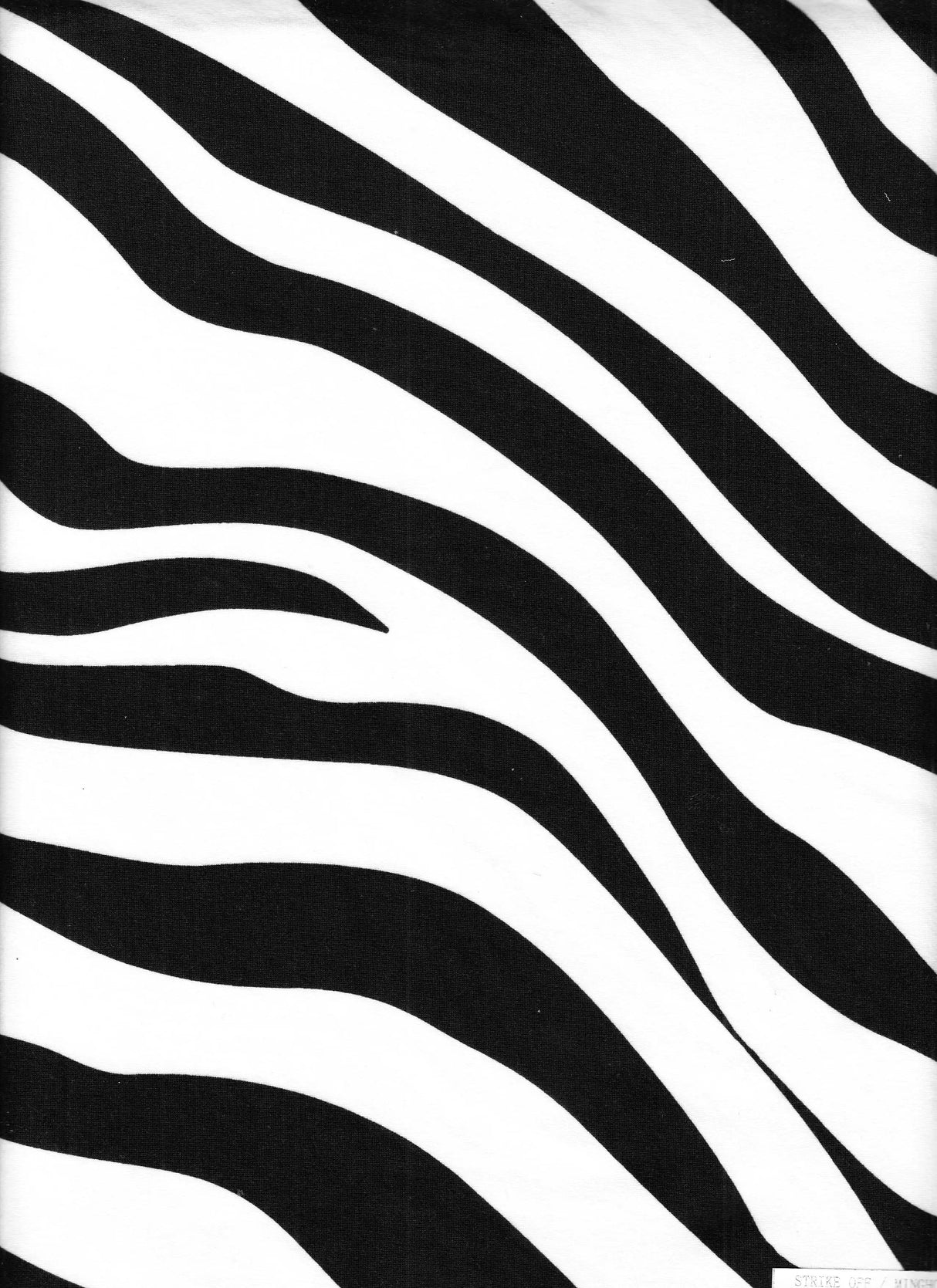 1 Yard Black Ivory Zebra Print Brushed DTY Knit Fabric 58/60" Wide