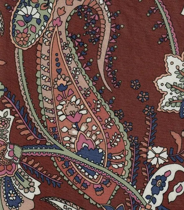 DTY Paisley Print Fabric Soft Lightweight & Stylish Stretch Knit, 58/60" Wide