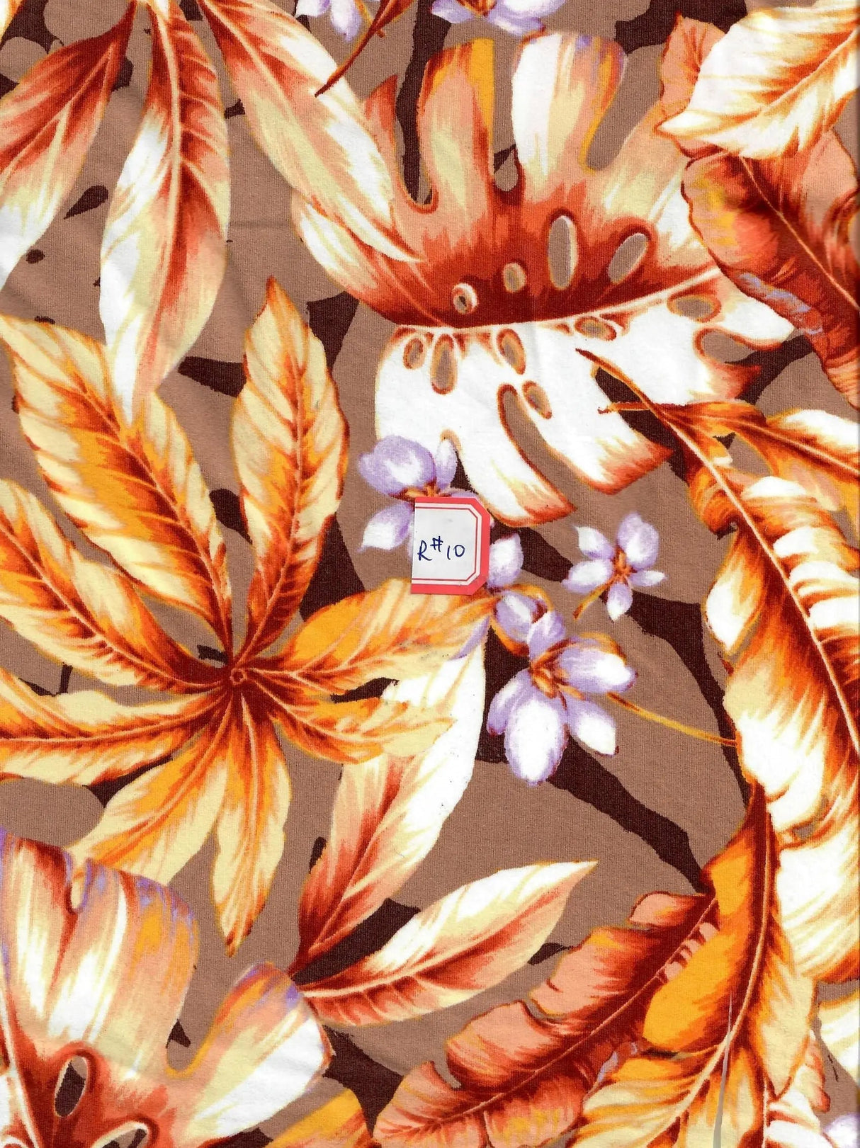 1 Yard Polyester Spandex 170 GSM DTY Brushed Leaf Tropical Print Fabric Soft 58/60" Width