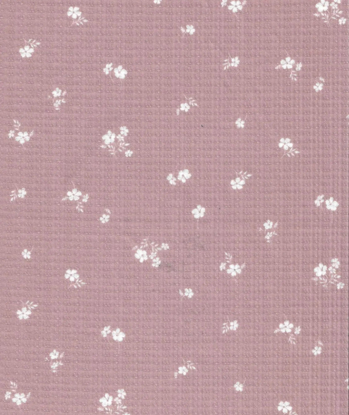 1 Yard Polyester Rayon Spandex Pointelle Ditsy Rib Print Fabric 58/60" Width