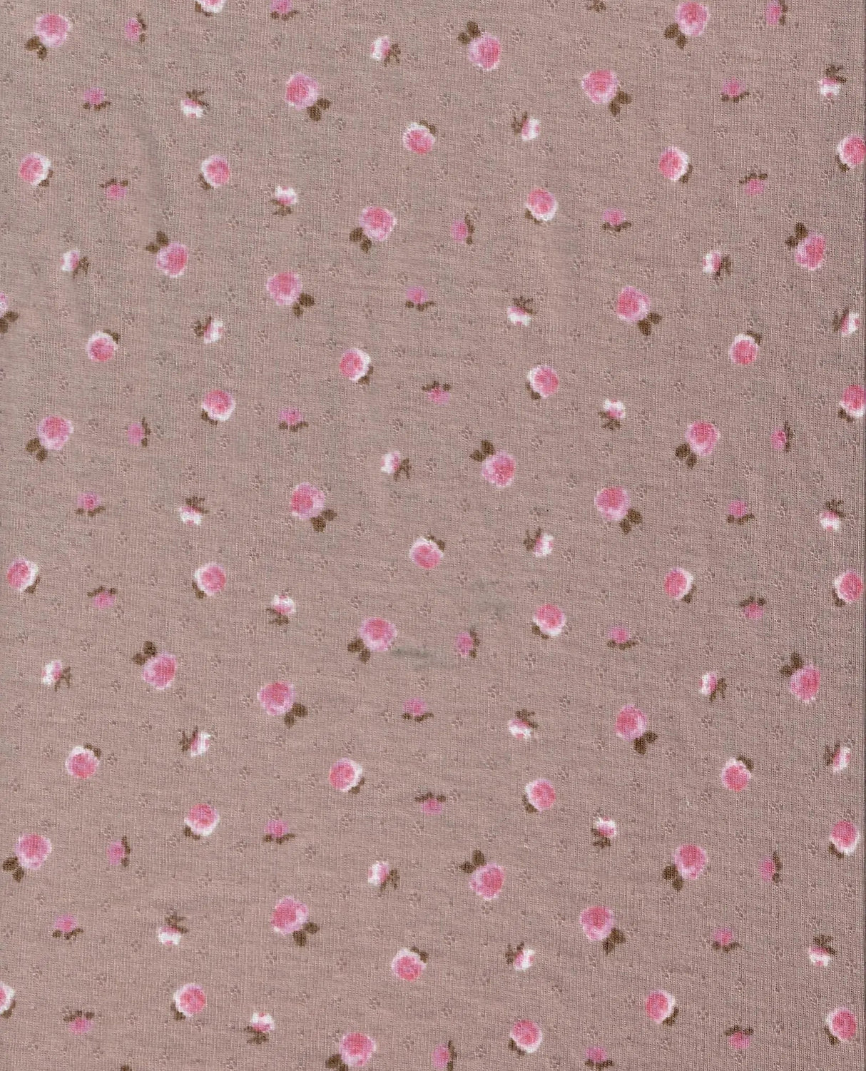 1 Yard Soft Cotton Style Small Flower Ditsy Pointelle Knit Fabric 61/63 Inches Wide