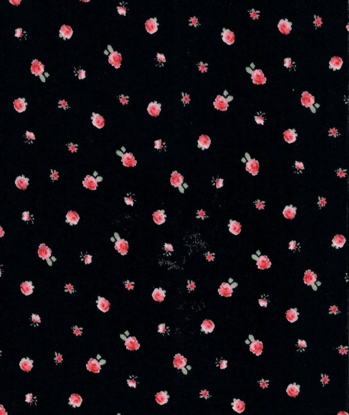 1 Yard Soft Cotton Style Small Flower Ditsy Pointelle Knit Fabric 61/63 Inches Wide