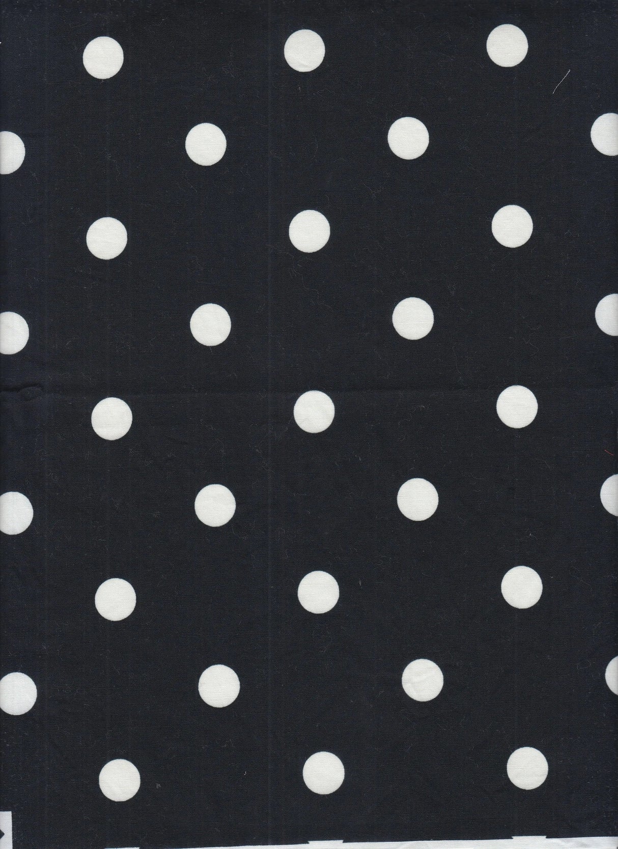Stretch Poplin Small Dot Fabric Cotton Spandex Woven Print, 57/58" Wide