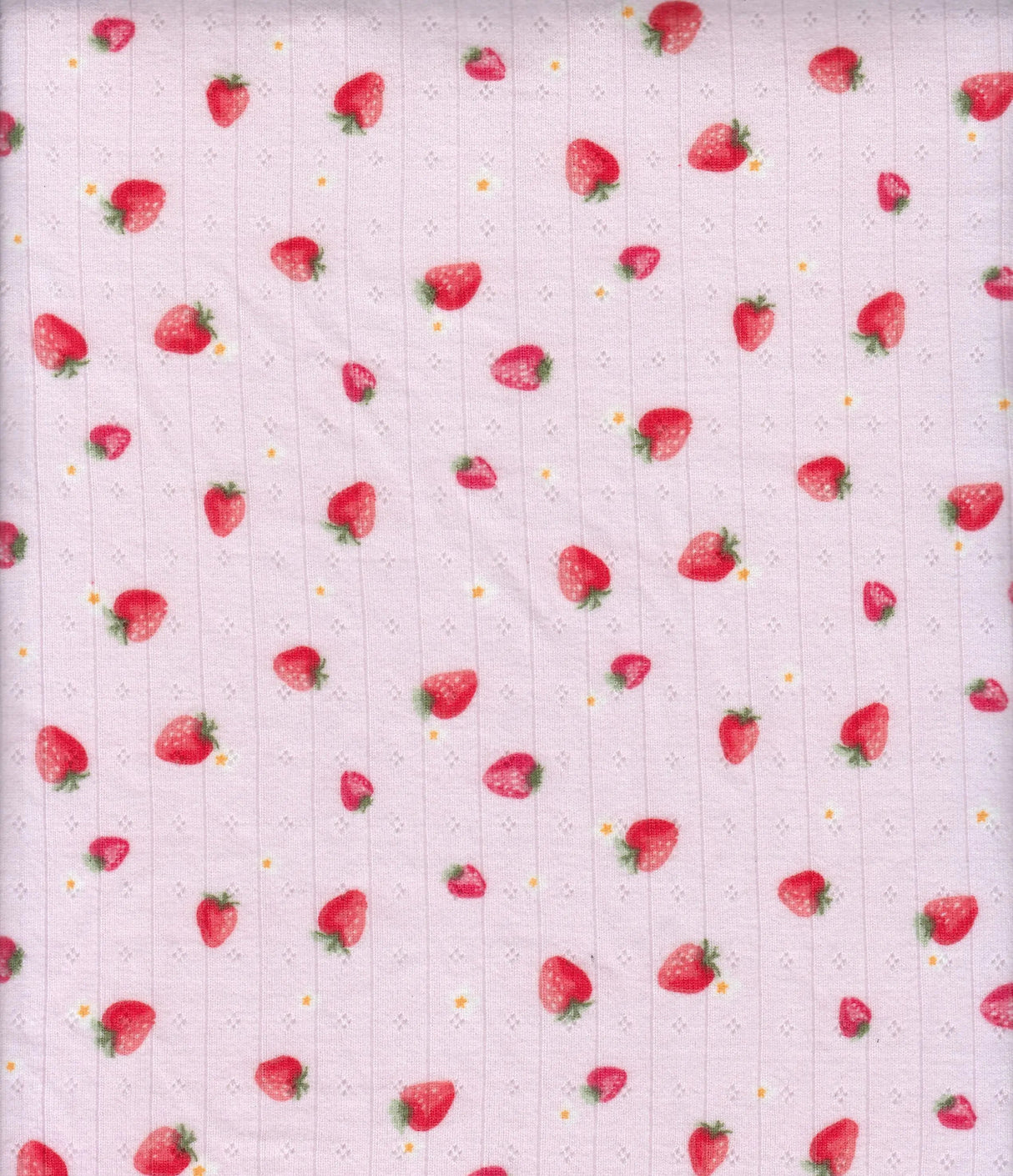 1 Yard 93% Polyester 7% Spandex Cotton-Style Pointelle Strawberry Print Fabric 58/60" Width