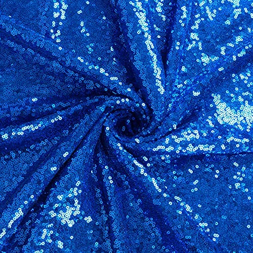 1 Yard Shimmering Sequin Fabric Stretch Mesh 54 Inch Width for Dresses & Decor