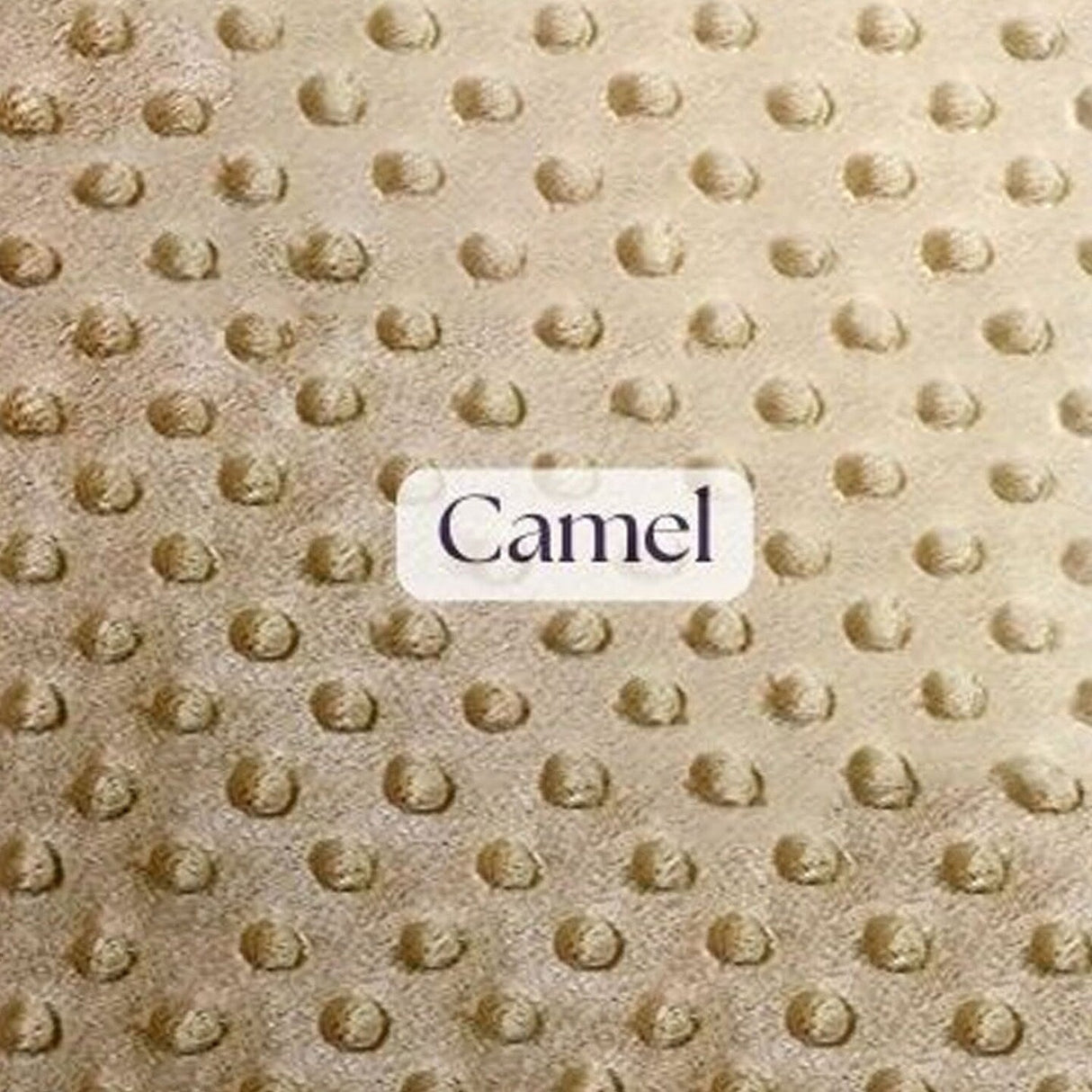 1 Yard Ultra Soft Minky Dot Fleece Plush Fabric 100 Percent Polyester for Crafts 60 Inch Width