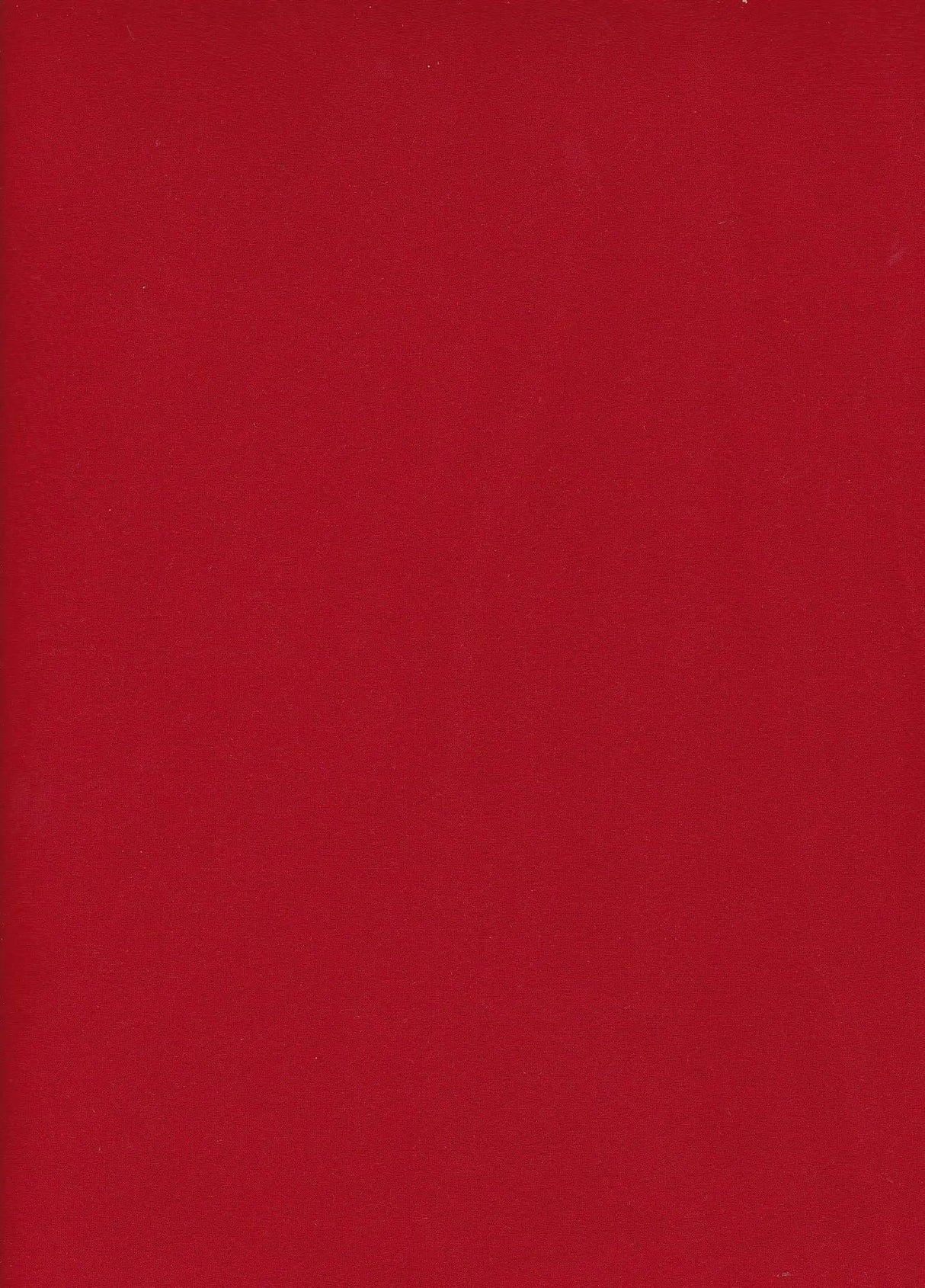 1 Yard DTY Brushed Solid Fabric Soft Stretch Smooth Texture 58/60" Wide