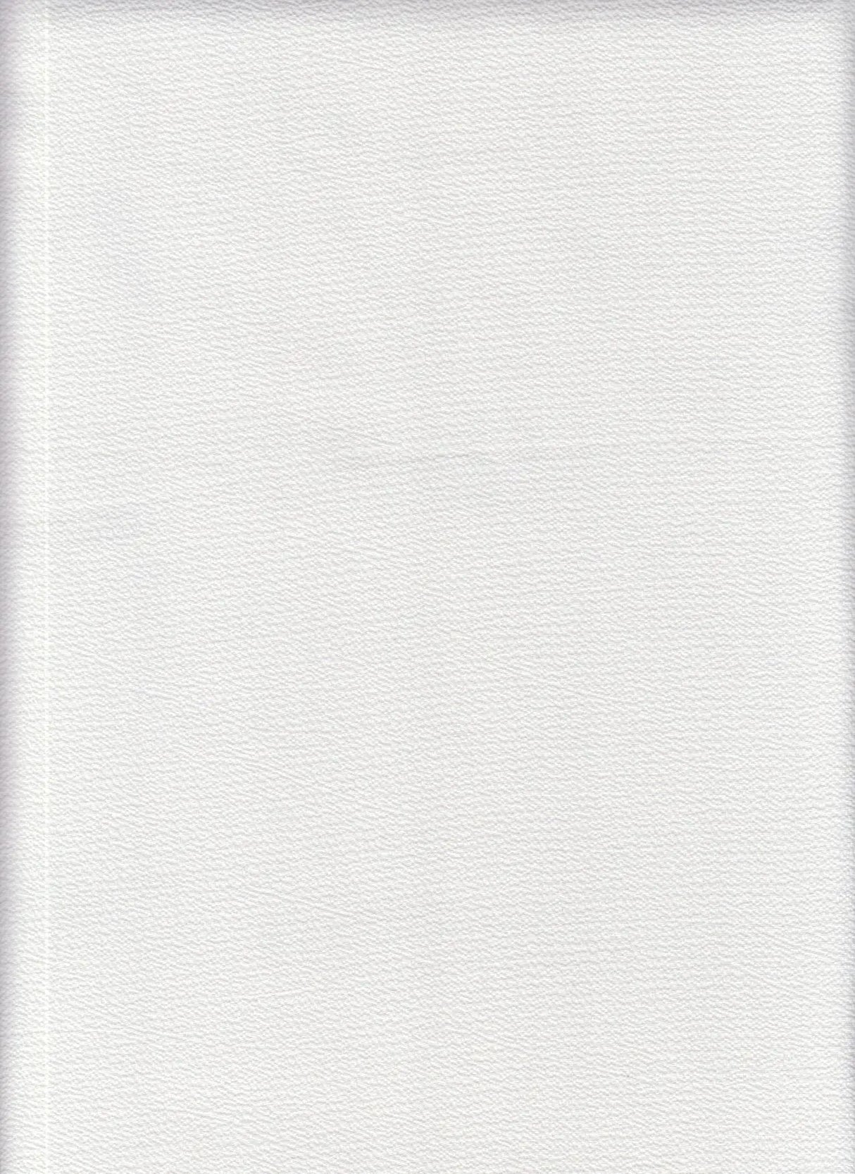 1 Yard Ghost Crepe Solid Woven Fabric Stretch Textured Drapery Upholstery 57/58" Width