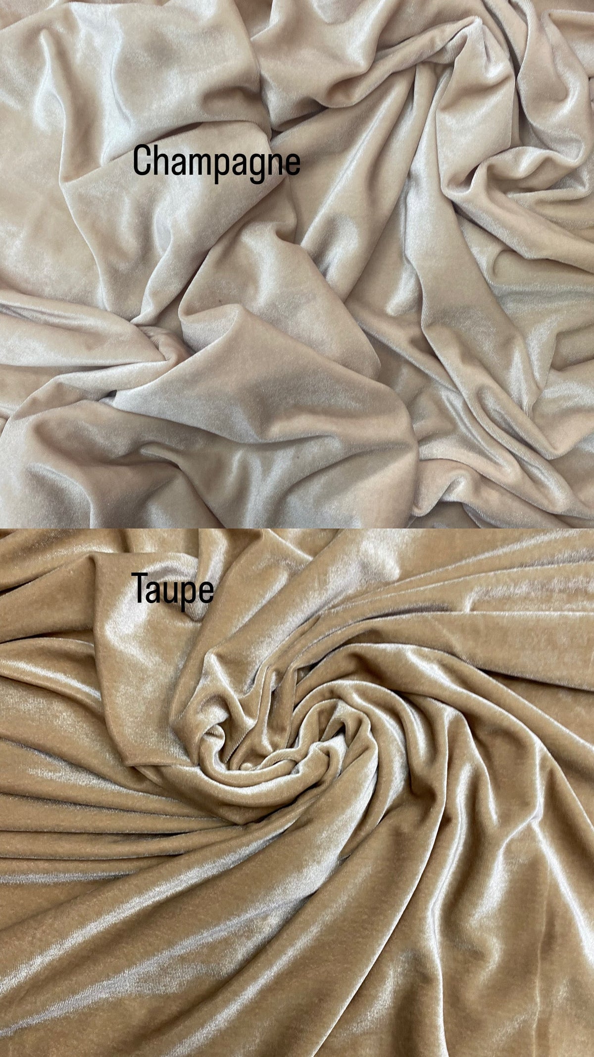 Champagne Stretch Velvet Fabric - Champagne, 58"-60" Width (1 Yard)