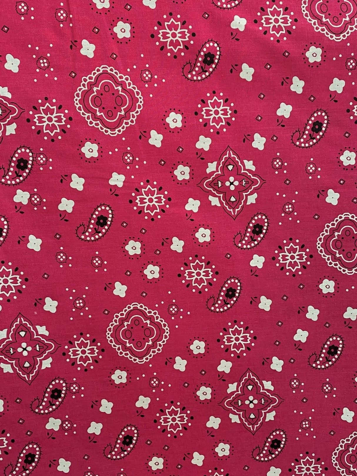 1 Yard Hot Pink Paisley Bandanna Cotton Polyester Blend Fabric 59/60 Inch Wide