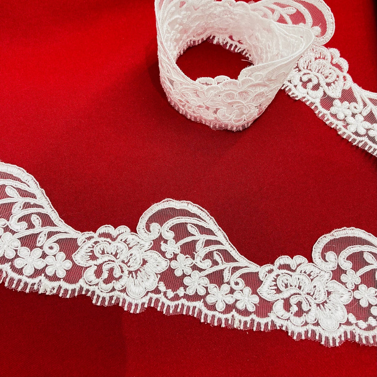 1 Yard Corded Lace Trimming on Net Mesh – 3" Wide | Embroidered Decorative Lace for Dresses & Costumes
