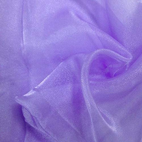 1 Yard Fabric Collections Inc. Sparkle Crystal Sheer Organza, 60? Wide 100% Polyester Shiny Fabric