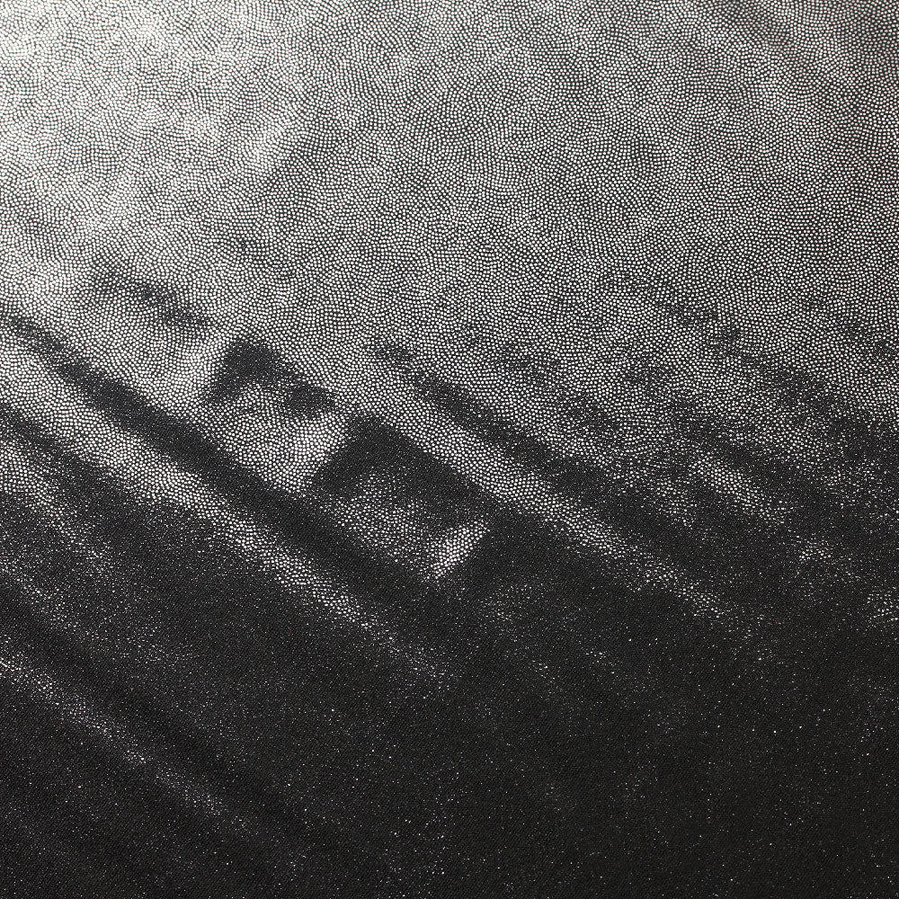 Matrix Foil PFP Polyester Spandex Fabric - Black And White, Foil Finish, 58-60" Width, 200 GSM (1 Yard)