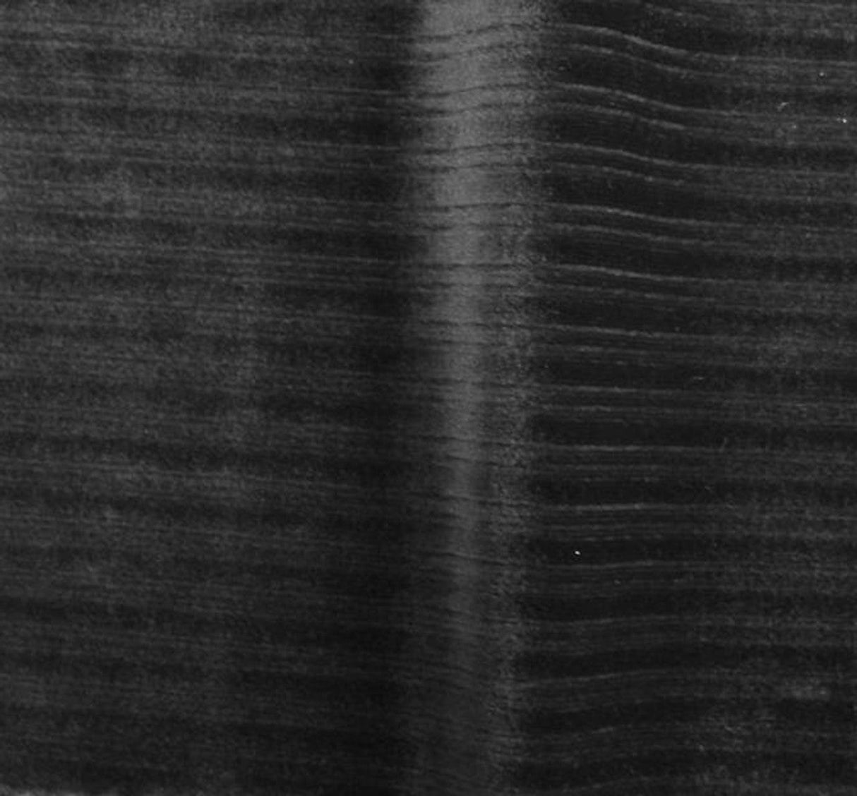 1 Yard Sleek Black Drop Needle Steam Velour Apparel Fabric 58/60" Width