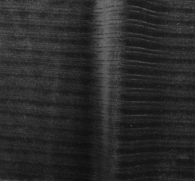Steam Velour Drop Needle 8X3 Black Polyester Spandex Fabric - Black, 58/60" Width (1 Yard)