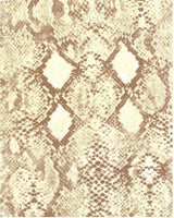 DTY Brushed Snake Skin Print Knit Fabric 1 Yard Soft Stretch Lightweight 58/60" Wide