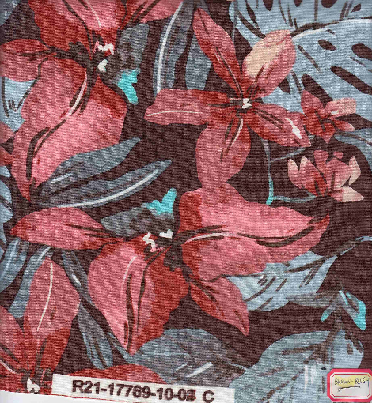 Large Floral Brushed DTY Knit Fabric Soft Stretch Material 58/60" Wide