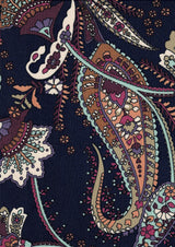 DTY Paisley Print Fabric Soft Lightweight & Stylish Stretch Knit, 58/60" Wide