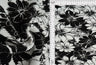 1 Yard Bodre Interlock Pleated Flower Print Knit Fabric 150 GSM, 58/59? Wide 100% Polyester