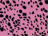 Brushed DTY Animal Print Knit Fabric Soft Stretch Material 58/60" Width