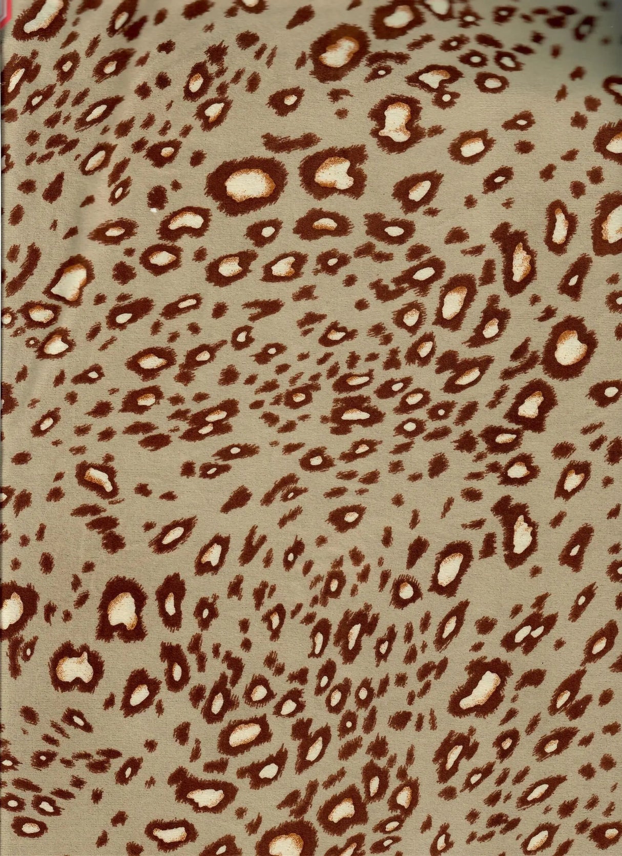 Soft Brushed DTY Knit Animal Print Stretch Fabric 58/60" Wide