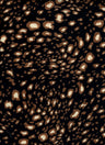 Soft Brushed DTY Knit Animal Print Stretch Fabric 58/60" Wide