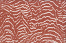 Animal Print Brushed DTY Knit Fabric Soft Stretch Material 58/60" Wide