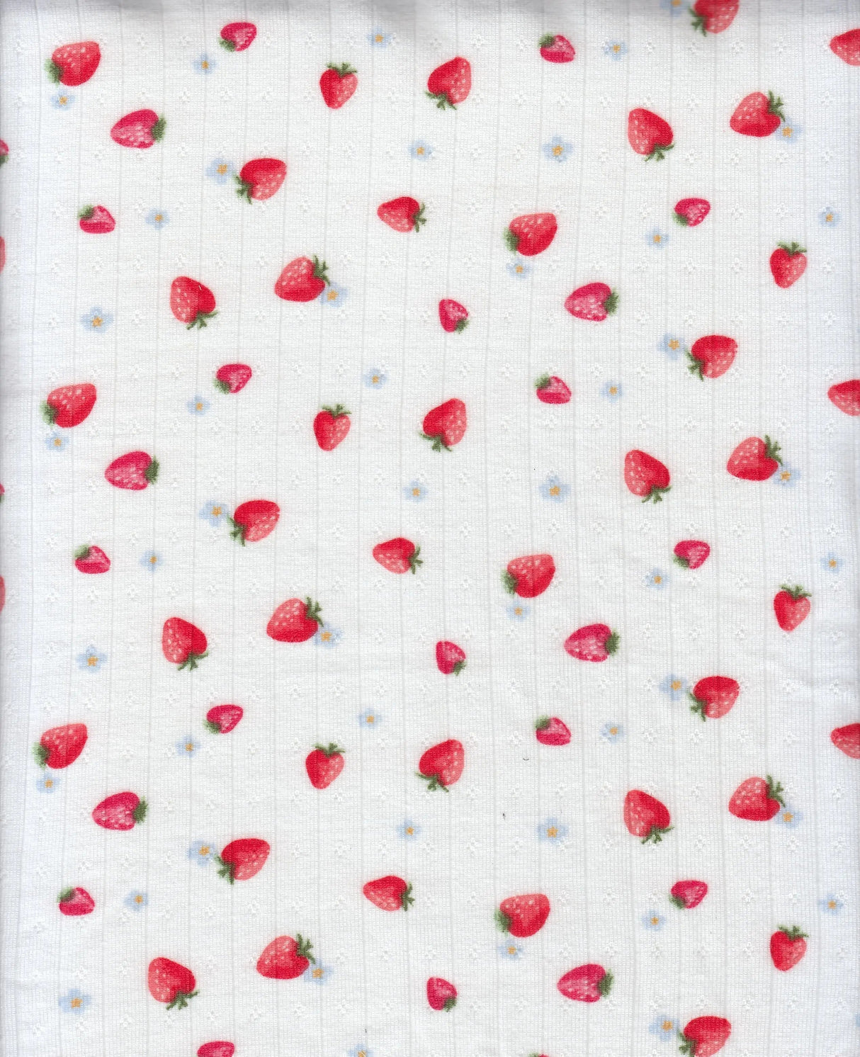 1 Yard Cotton Style Pointelle Strawberry Print Knit Fabric 220 GSM Poly Spandex 58/60" Width