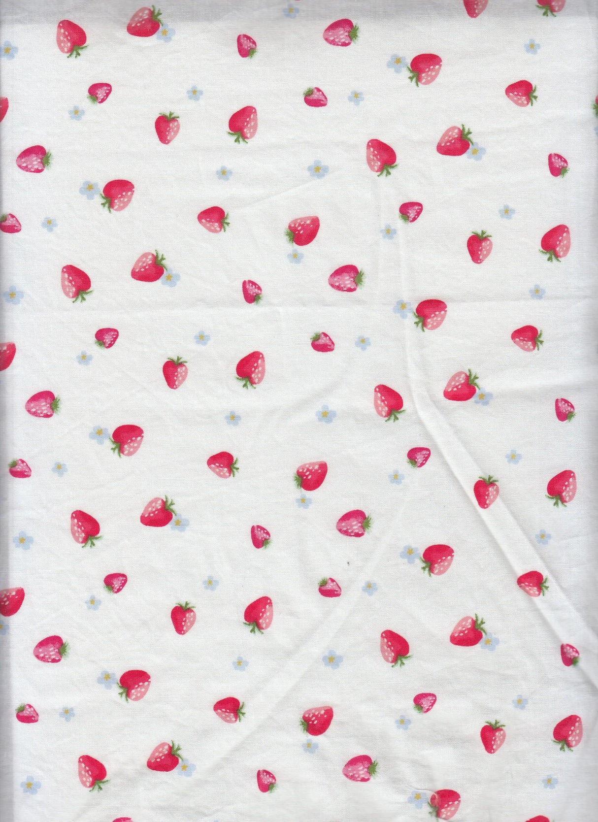 1 Yard Stretch Poplin Strawberry Print Fabric, 57/58? Wide Cotton Spandex Blend