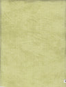 1 Yard Lime Garment Wash Double Knit Cozy Fabric Stretch Polyester Rayon Spandex 56/57 Inches Wide