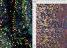 1 Yard Assorted Mesh Sequins Fabric, 58/60? Wide Nylon Spandex Blend