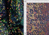 1 Yard Assorted Mesh Sequins Fabric, 58/60'' Wide Nylon Spandex Blend