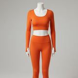 F-12+ Egyptian Combed Cotton Spandex Jersey Fabric 90% Cotton 10% Spandex for Activewear Apparel 60/61 Inch Width 240 GSM