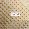 1 Yard Ultra Soft Minky Dot Fleece Plush Fabric 100 Percent Polyester for Crafts 60 Inch Width