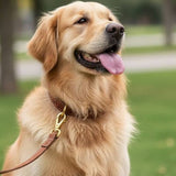 Custom Metal Swivel Snap Hook for Bags & Handbags