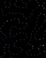 1 Yard Sequin Knit Fabric, Soft Stretch Shiny Finish 57/58" Wide