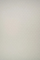 1 Yard Lightweight Swiss Dot Chiffon Fabric Solid Woven Sheer Drapery 57/58"