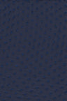 Solid Swiss Dot Chiffon Fabric 100% Polyester Lightweight Sheer 57/58" Wide