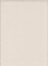Baby French Terry Solid Knit Fabric 1 Yard Soft Stretch Lightweight 58/60" Wide