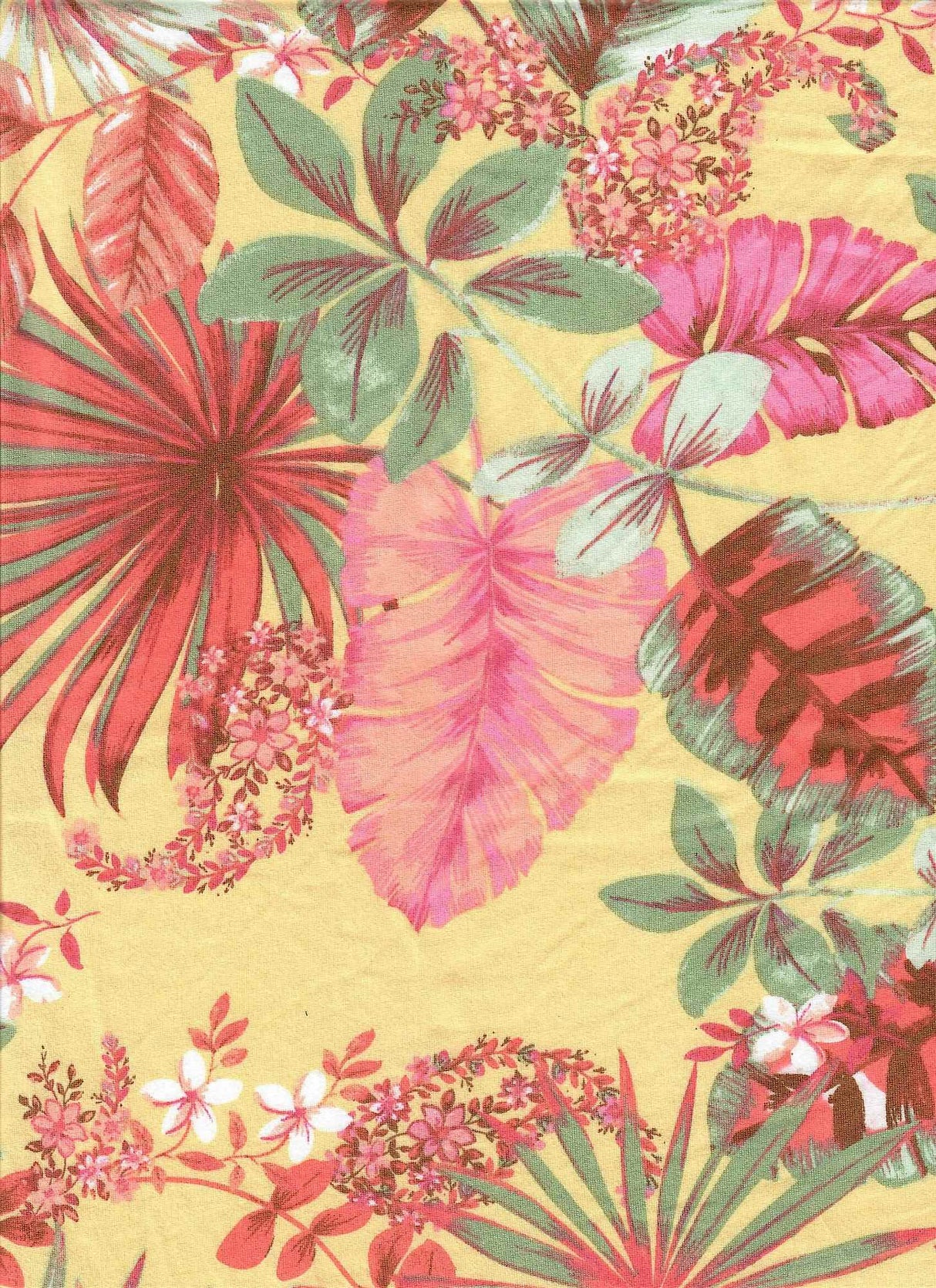 Brushed Tropical Leaf Print Knit Fabric Soft Stretch Polyester Spandex 58/60” Wide