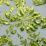 1 Yard 58" Tulle Lace Fabric with Floral Glitter Elegant Mesh Material for Fashion & Crafts