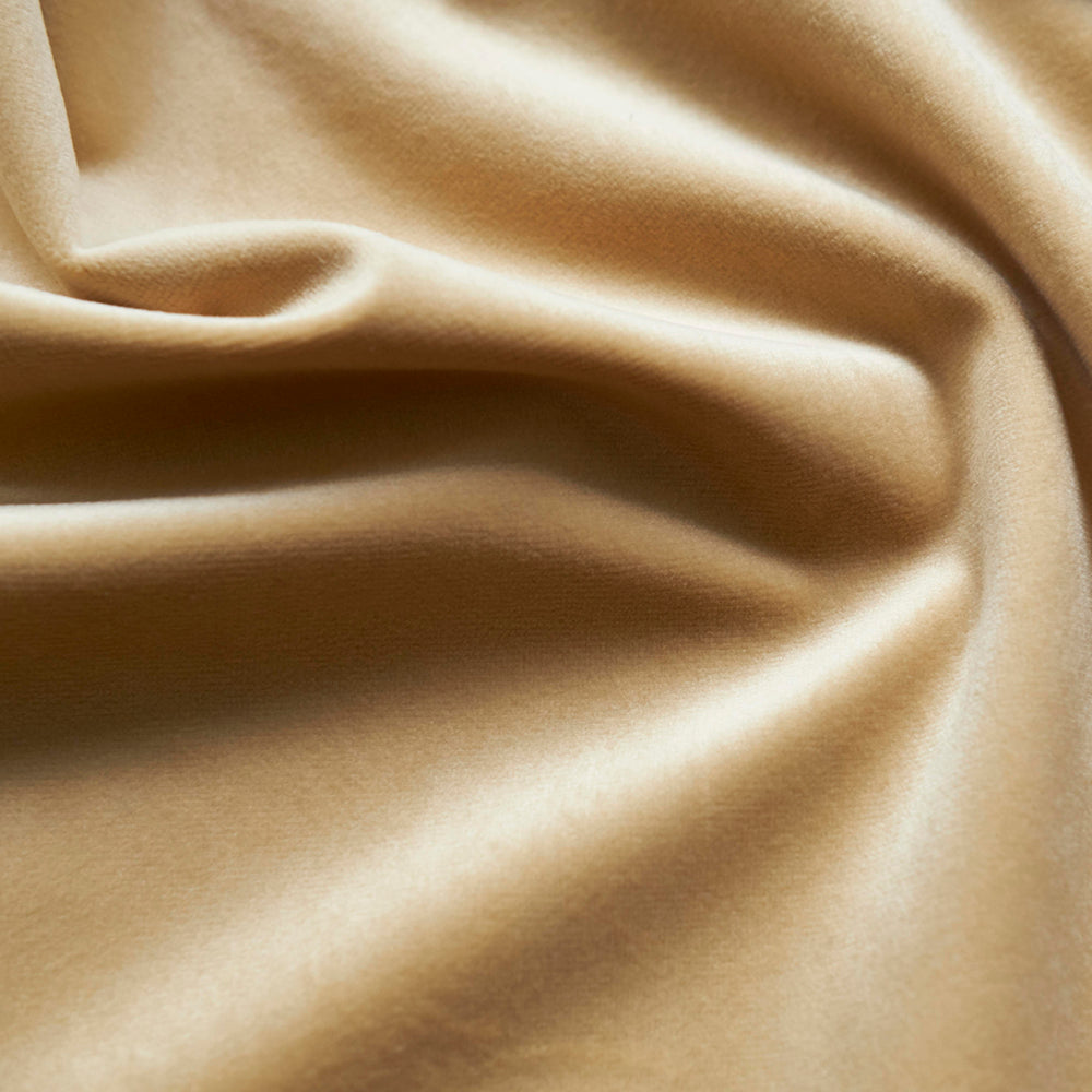 Giselle Velvet Upholstery & Drapery Fabric 55" Wide, 100% Polyester