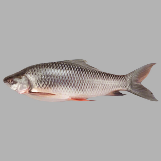 F-Whole Ruhu Fish Regular Cut