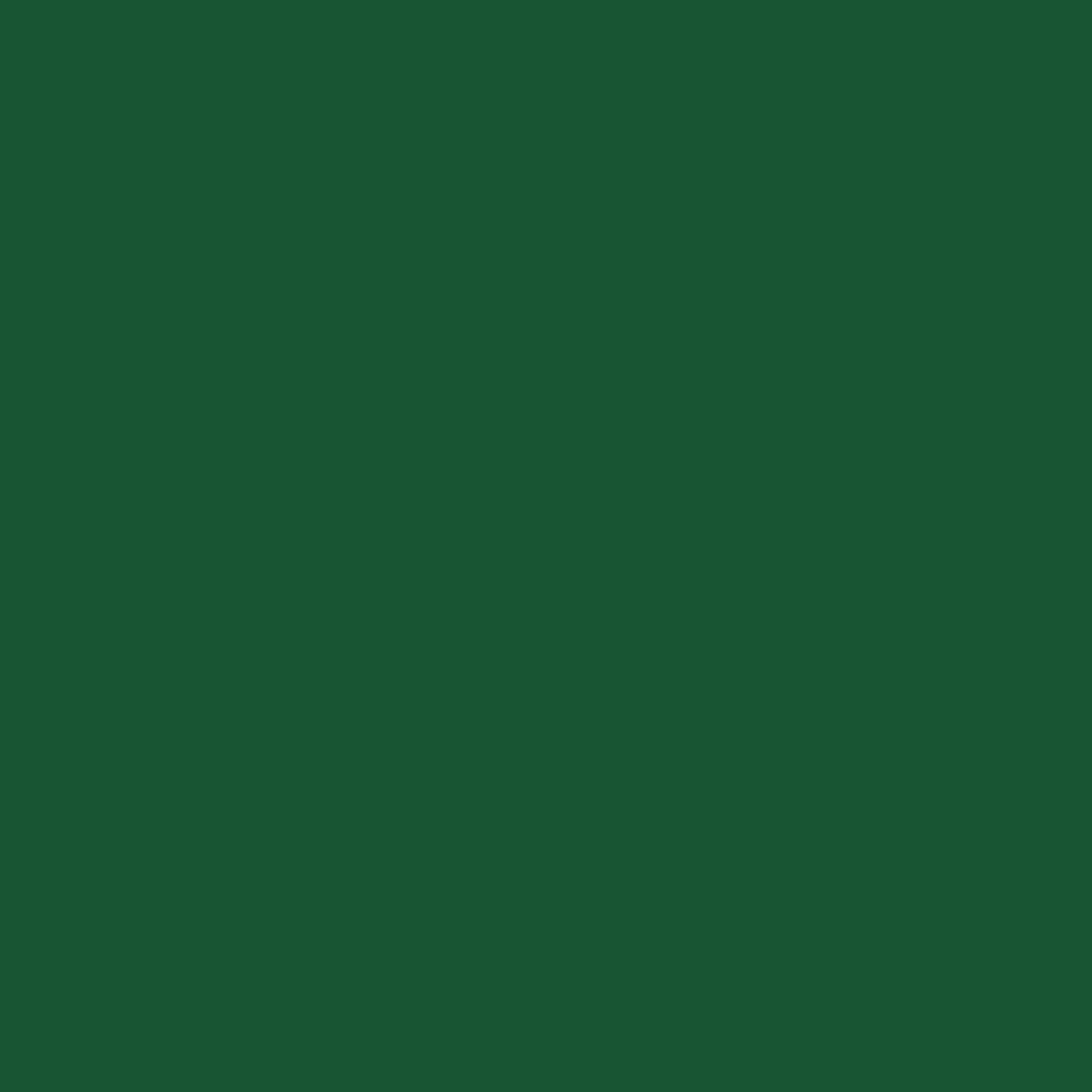 Glossy Flow Polyester Spandex Fabric - Solid Colors, 58-60" Width, 200 GSM, 4-Way Stretch (1 Yard)