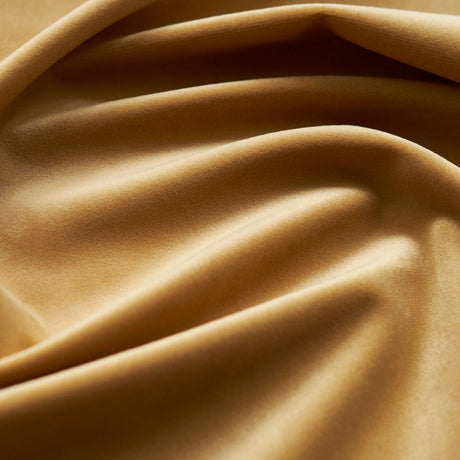 Giselle Velvet Upholstery & Drapery Fabric 55" Wide, 100% Polyester