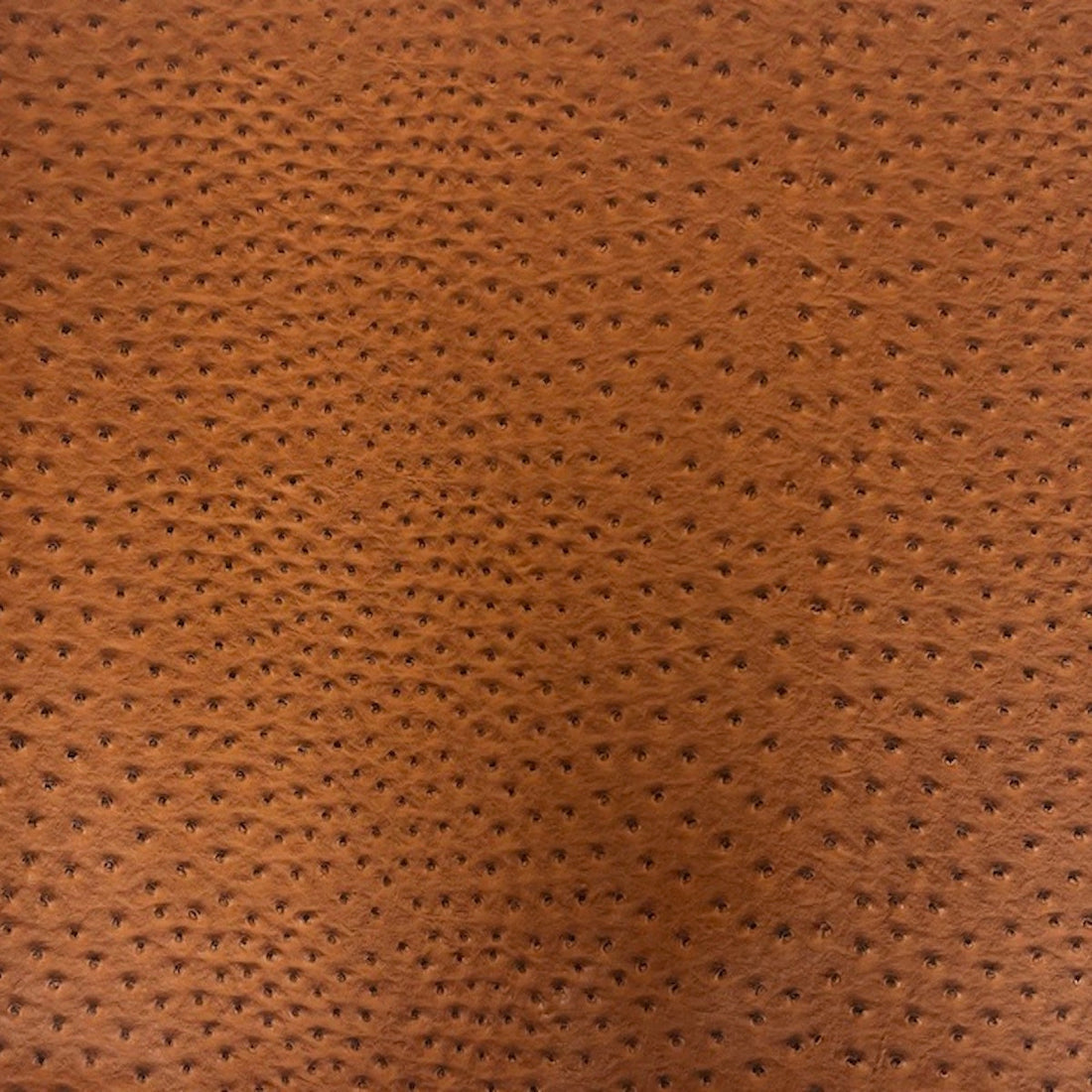 Saratoga Ostrich Faux Leather Vinyl Fabric 54" Wide, PU Coated, Upholstery & Auto Interior Use